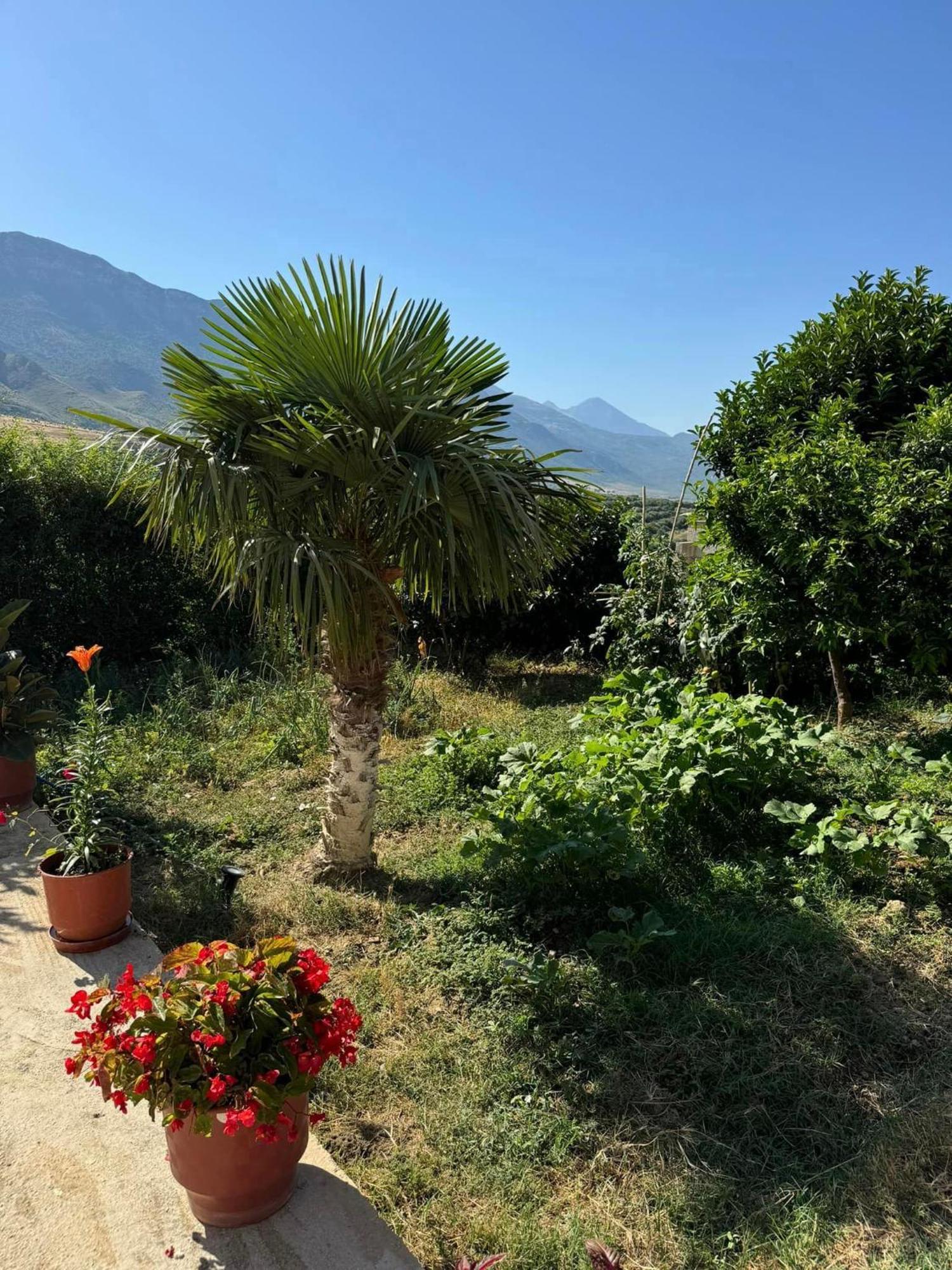 360° View Apartments Vlore Bagian luar foto